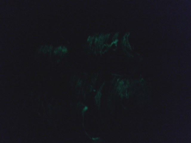 2011-09-15 00.111111.56.jpg